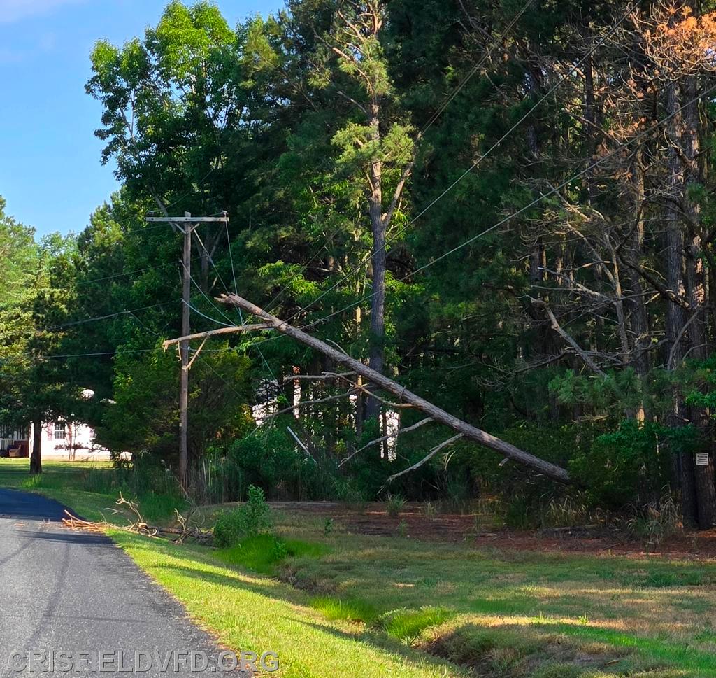 No Caption